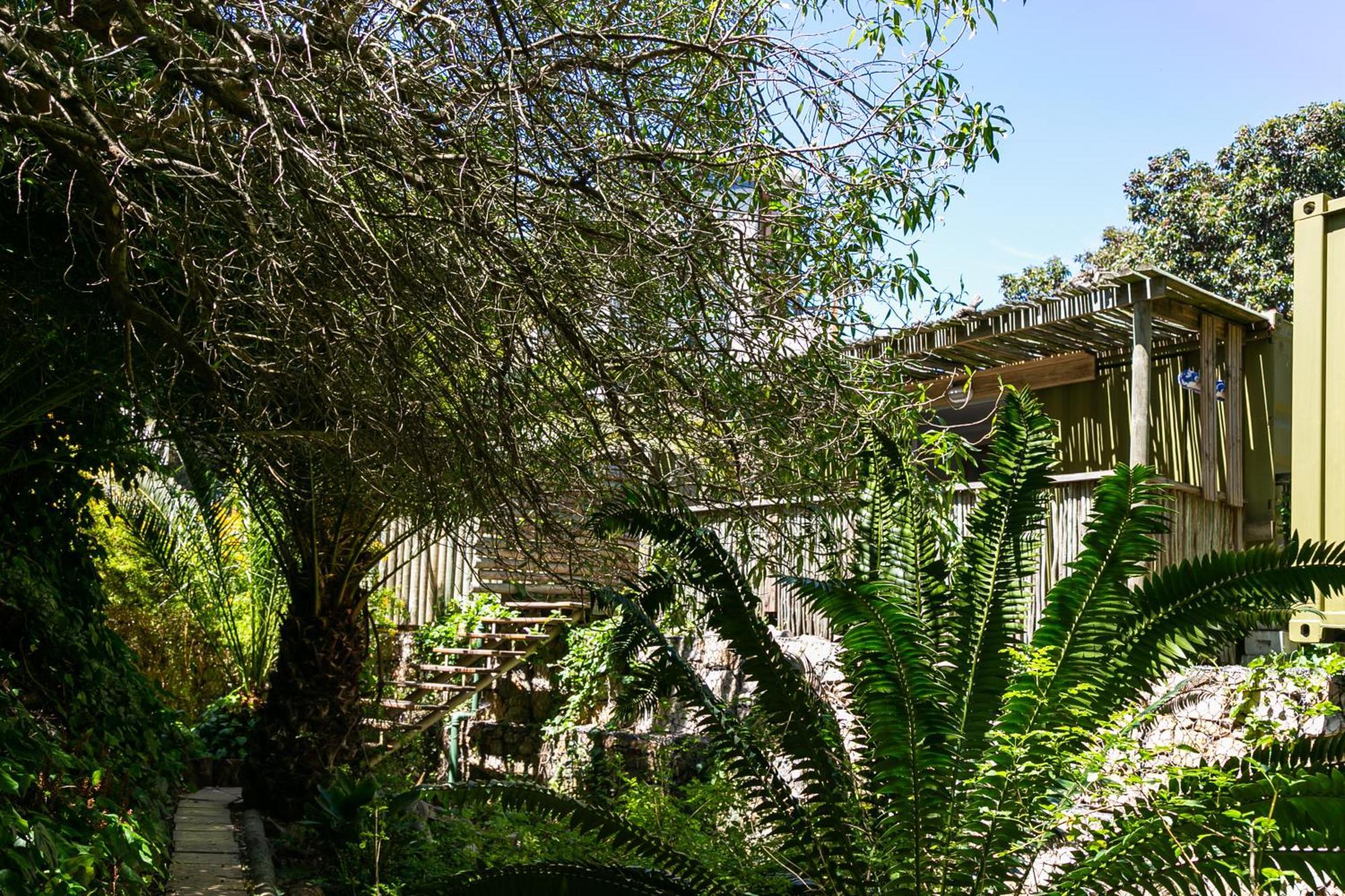 Camps Bay Forest Pods Cape Town Exterior foto